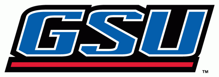Georgia State Panthers 2010-Pres Wordmark Logo v7 diy iron on heat transfer